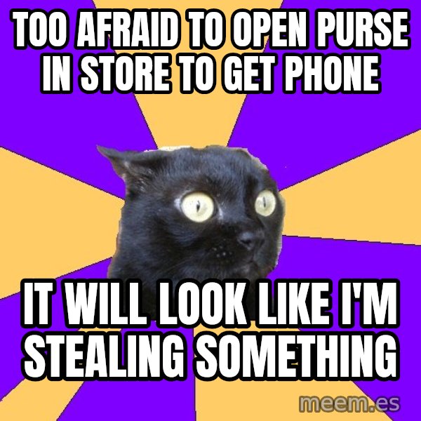 Anxiety Cat meme: too afraid to open purse in store to get phone / it will look like i'm stealing something
