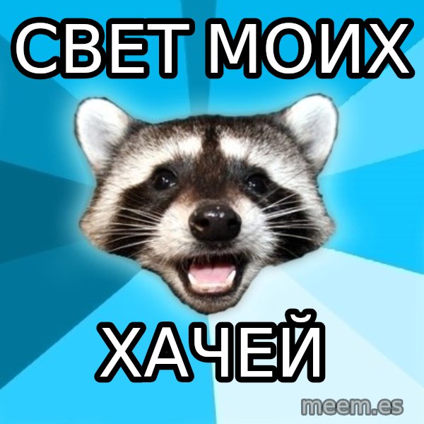 Lame Pun Coon meme: Свет моих / Хачей