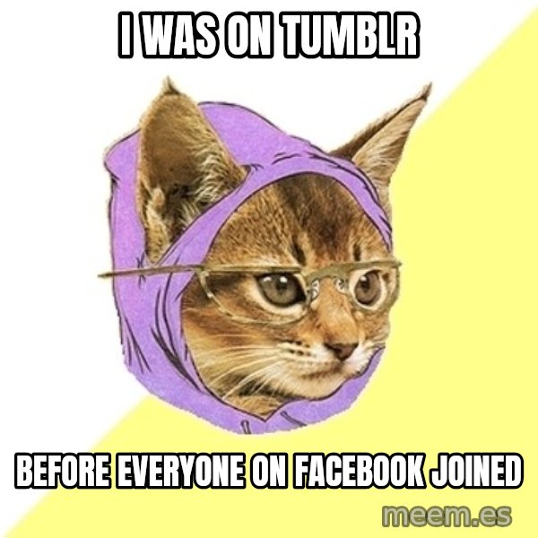 Hipster Kitty meme: I was on tumblr / before everyone on facebook joined