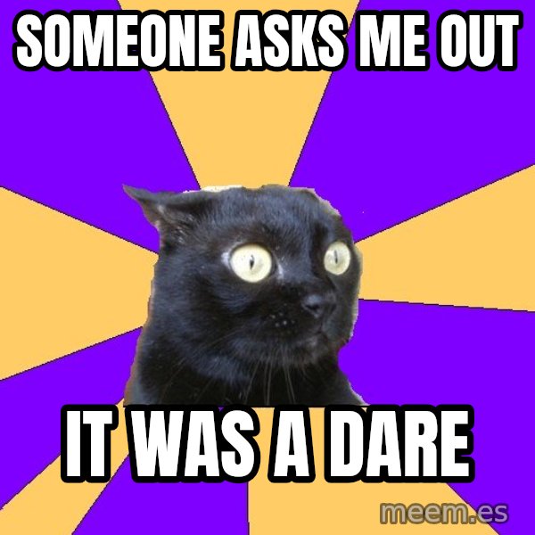 Anxiety Cat meme: SOMEONE ASKS ME OUT / IT WAS A DARE