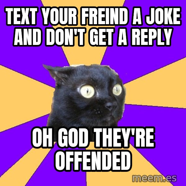 Anxiety Cat meme: tEXT YOUR FREIND A JOKE AND DON'T GET A REPLY / oH GOD THEY'RE OFFENDED