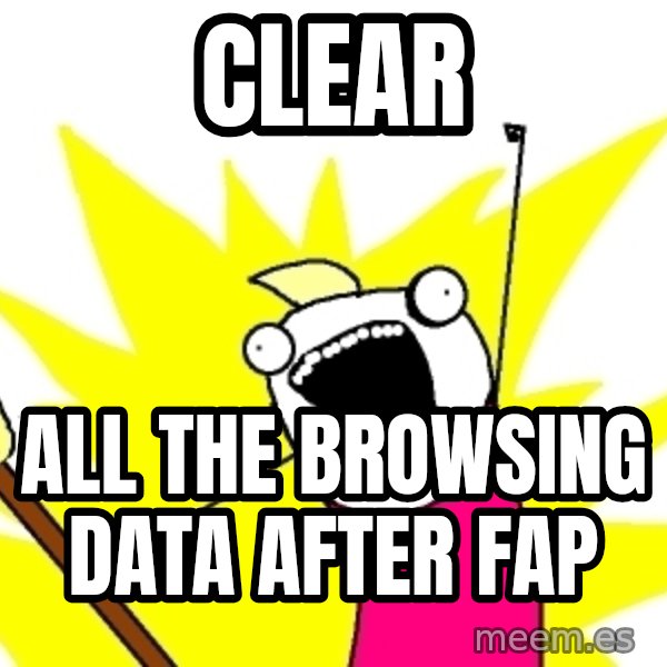 X ALL THE THINGS meme: CLEAR / ALL THE BROWSING DATA after fap