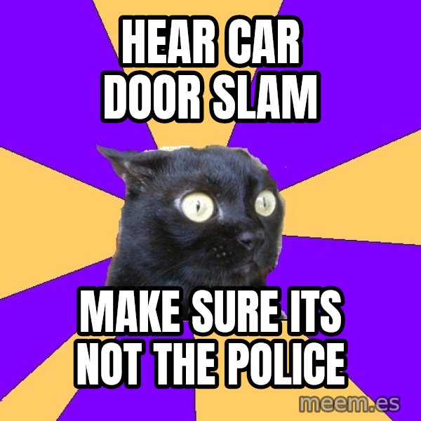 Anxiety Cat meme: Hear car door slam / make sure its not the police
