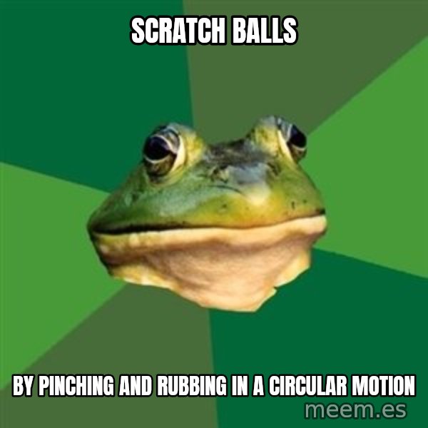 Foul Bachelor Frog meme: SCRATCH BALLS / BY PINCHING AND RUBBING IN A CIRCULAR MOTION