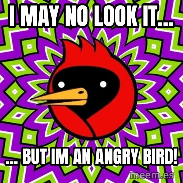 Omsk Crow meme: I may no look it... / ... but im an angry bird!