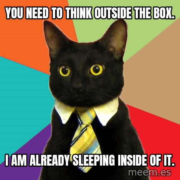 Business Cat meme: you need to think outside the box. / I am already sleeping inside of it.
