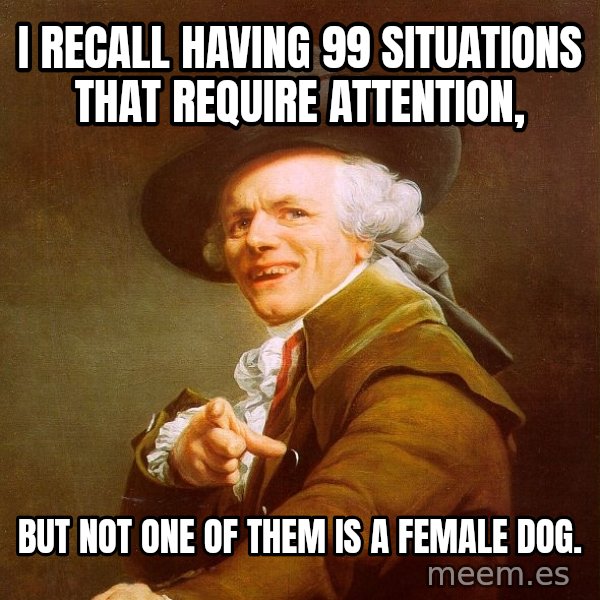 Joseph Ducreux meme: I recall having 99 situations that require attention, / but not one of them is a female dog.