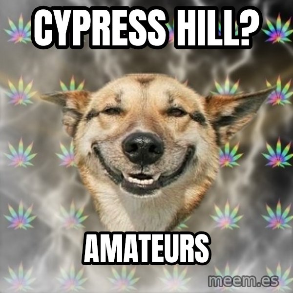 Stoner Dog meme: Cypress hill? / Amateurs