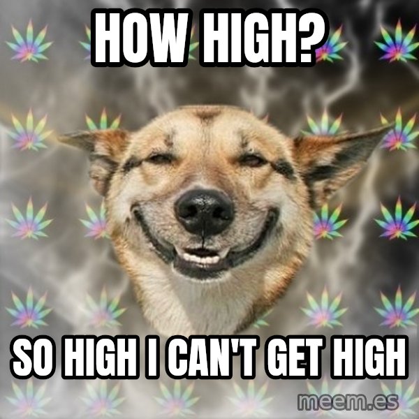 Stoner Dog meme: How high? / So high i can't get high