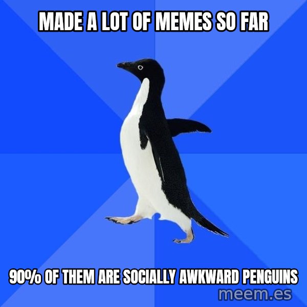 Socially Awkward Penguin meme: made a lot of memes so far / 90% of them are socially awkward penguins