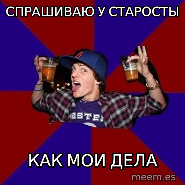 Sunny Student meme: спрашиваю у    старосты / как мои     дела