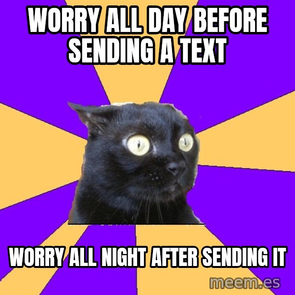 Anxiety Cat meme: Worry all day before sending a text / worry all night after sending it