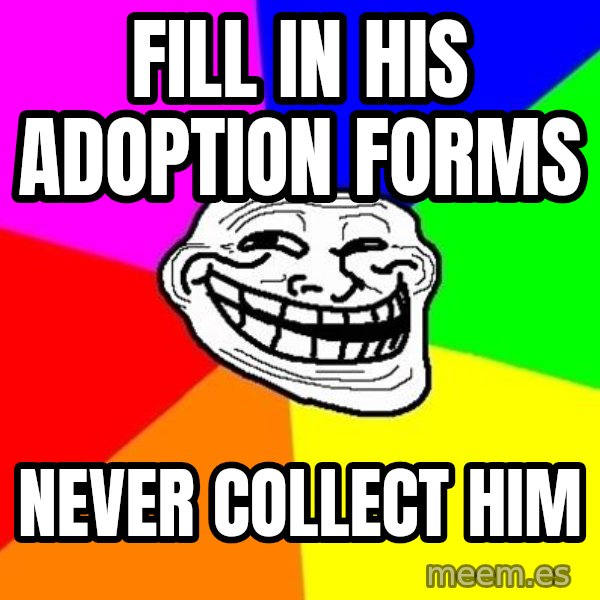 Trollface meme: FILL IN HIS ADOPTION FORMS / NEVER COLLECT HIM