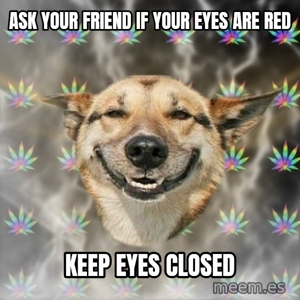 Stoner Dog meme: Ask your friend if your eyes are red / keep eyes closed