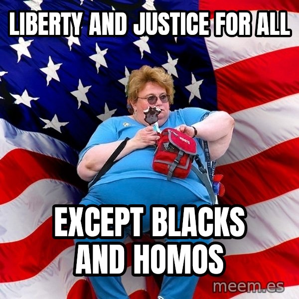 Obese American meme: liberty and justice for all / except blacks and homos