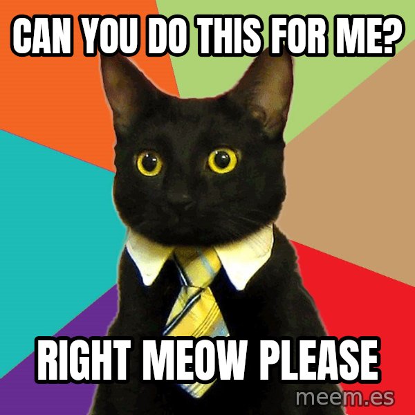 Business Cat meme: Can you do this for me? / right meow please