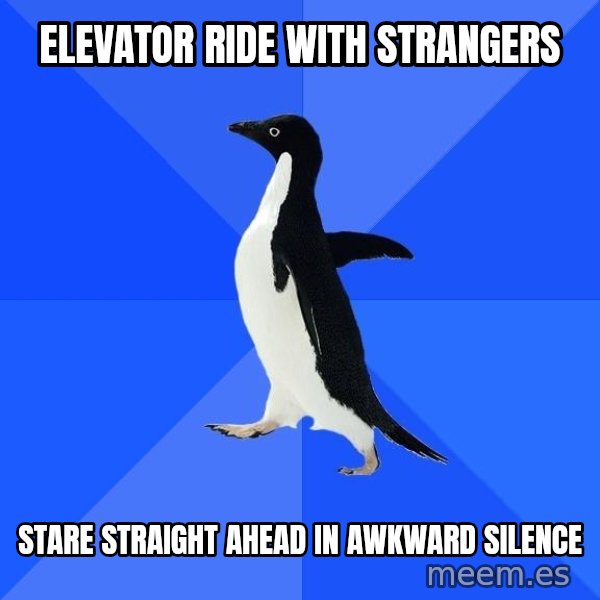 Socially Awkward Penguin meme: Elevator ride with strangers / stare straight ahead in awkward silence