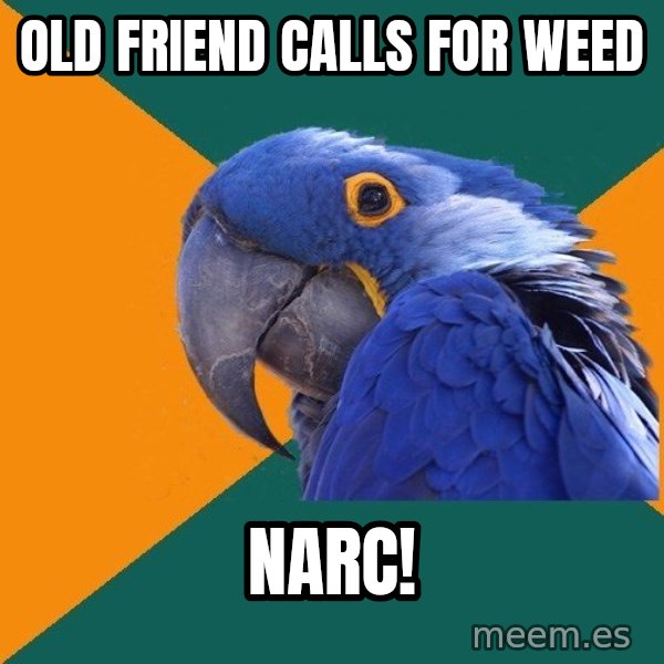 Paranoid Parrot meme: old friend calls for weed / narc!