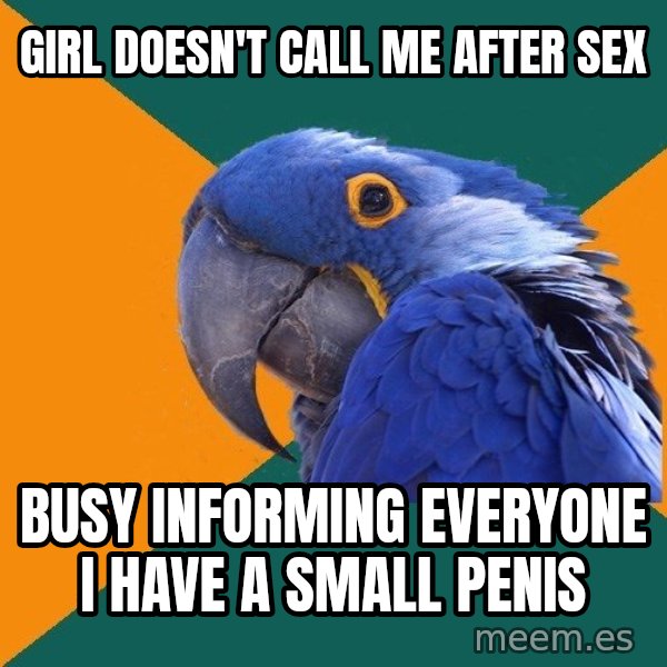 Paranoid Parrot meme: girl doesn't call me after sex / busy informing everyone i have a small penis