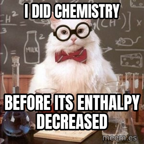 Chemistry Cat meme: I did chemistry / Before its enthalpy decreased