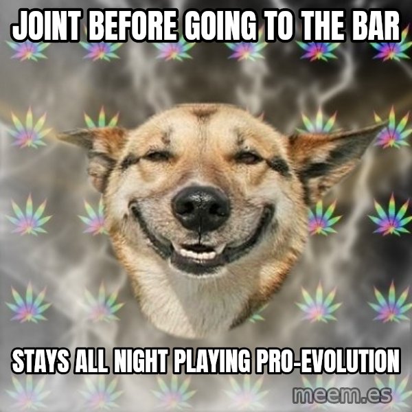Stoner Dog meme: Joint before going to the bar / stays all night playing pro-evolution
