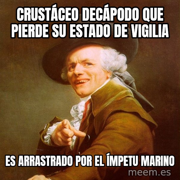 Joseph Ducreux meme: Crustáceo Decápodo que pierde su estado de vigilia / es arrastrado por el ímpetu marino