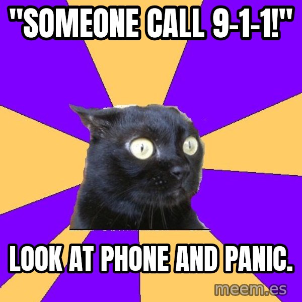 Anxiety Cat meme: "Someone Call 9-1-1!" / Look at phone and Panic.