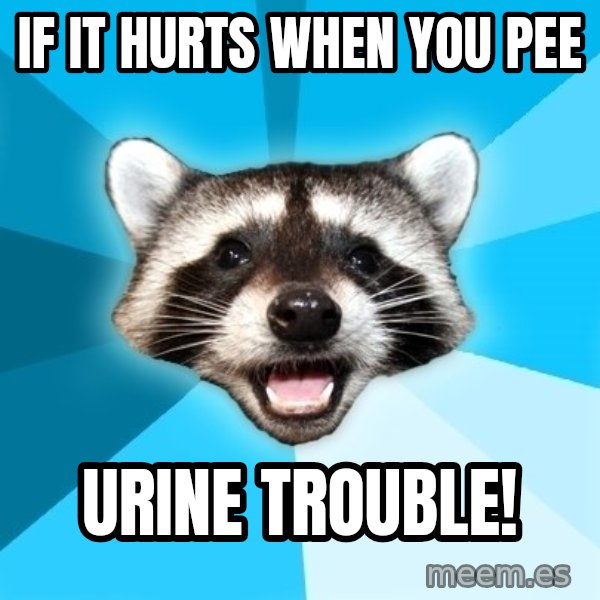 Lame Pun Coon meme: If it Hurts When you pee / Urine trouble!