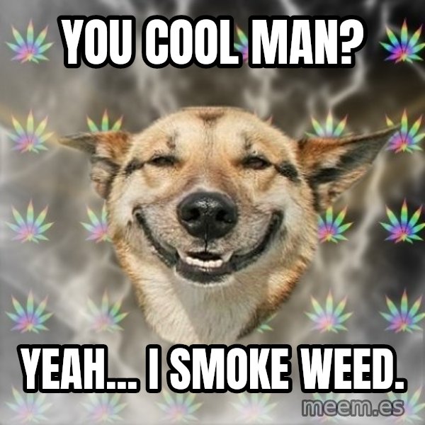 Stoner Dog meme: YOU COOL MAN? / YEAH... I SMOKE WEED.