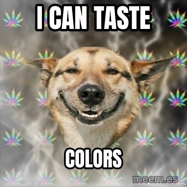Stoner Dog meme: i can taste / colors