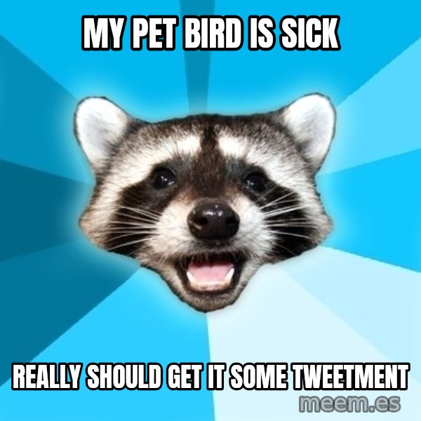 Lame Pun Coon meme: my pet bird is sick / really should get it some tweetment