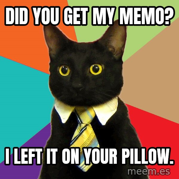 Business Cat meme: did you get my memo? / I left it on your pillow.
