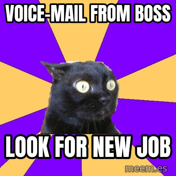 Anxiety Cat meme: vOICE-MAIL FROM bOSS / LOOK FOR NEW JOB