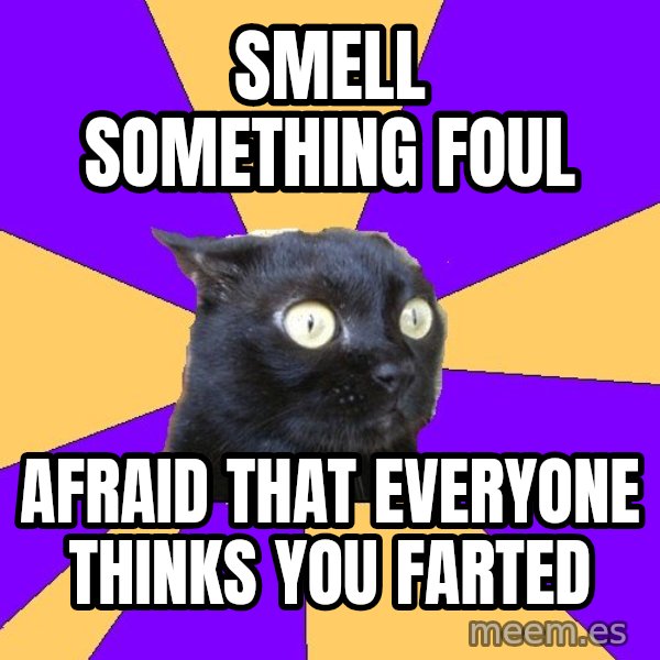 Anxiety Cat meme: Smell something foul / afraid that everyone thinks you farted