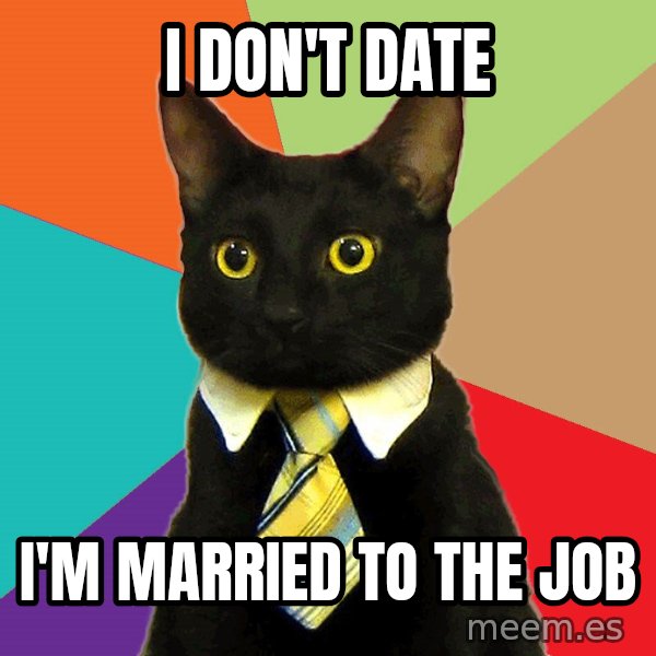 Business Cat meme: I don't date / I'm married to the job