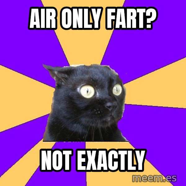 Anxiety Cat meme: air only fart? / NOT EXACTLY