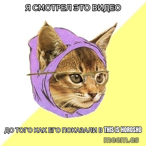 Hipster Kitty meme: я смотрел это видео / до того как его показали в this is horosho