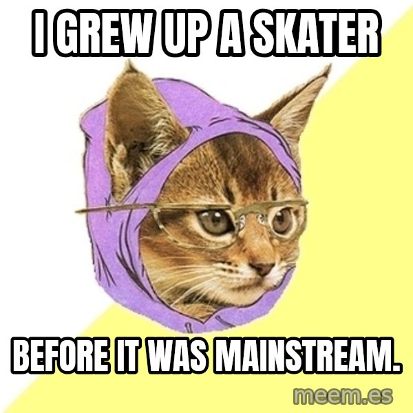 Hipster Kitty meme: I grew up a skater / before it was mainstream.