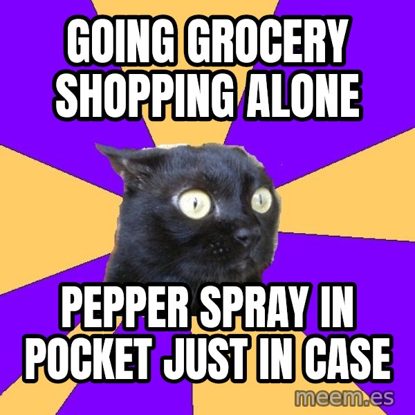 Anxiety Cat meme: going grocery shopping alone / pepper spray in pocket just in case