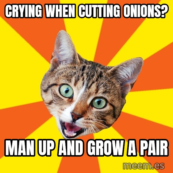 Bad Advice Cat meme: Crying when cutting onions? / man up and grow a pair