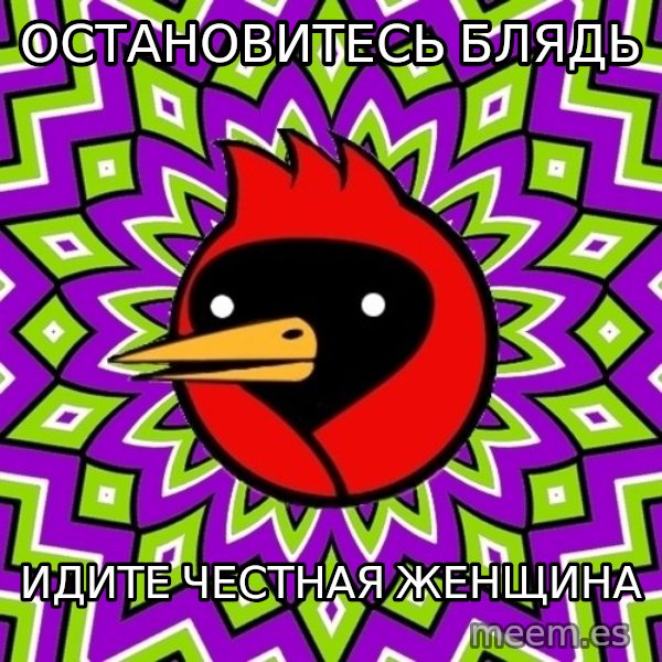 Omsk Crow meme: остановитесь блядь / идите честная женщина