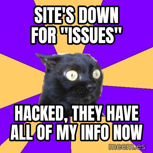 Anxiety Cat meme: Site's down for "issues" / Hacked, they have all of my info now