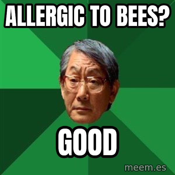 High Expectations Asian Father meme: allergic to bees? / good