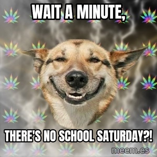 Stoner Dog meme: wait a minute, / there's no school saturday?!