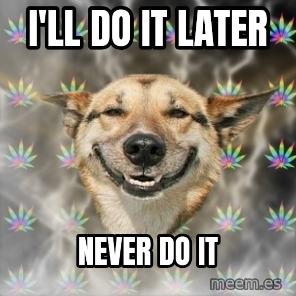 Stoner Dog meme: I'll do it later / never do it