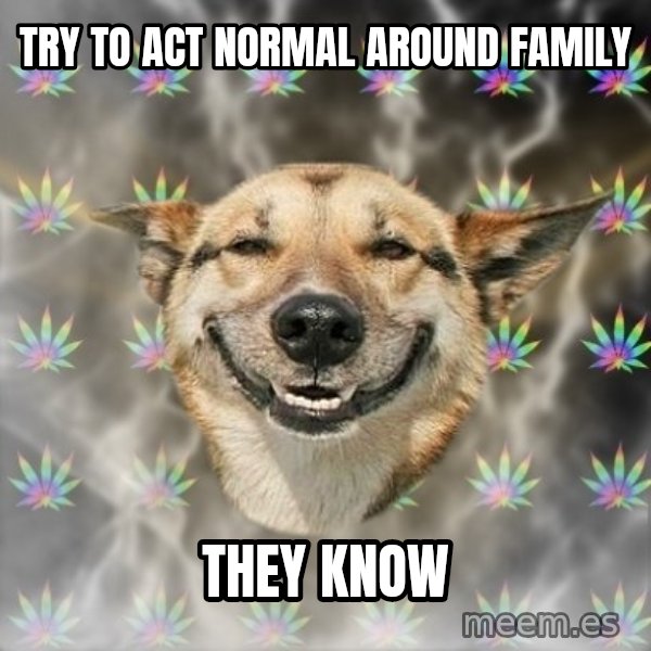 Stoner Dog meme: try to act normal around family / they know