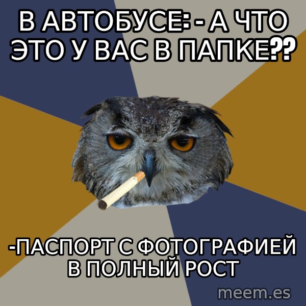 Art Student Owl meme: в автобусе: - а что это у вас в папке?? / -паспорт с фотографией в полный рост