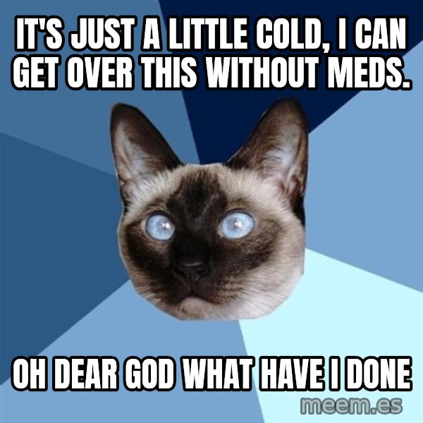 Chronic Illness Cat meme: It's just a little cold, I can get over this without meds. / OH dear god what have i done
