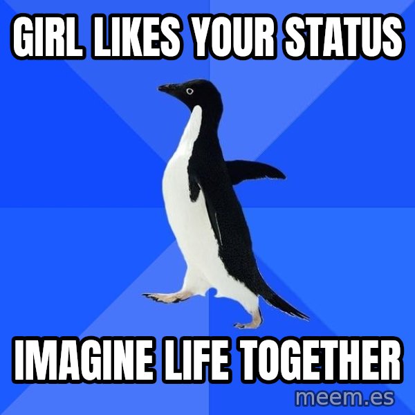 Socially Awkward Penguin meme: Girl likes your status / imagine life together