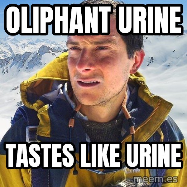 Bear Grylls meme: OLIPHANT URINE / TASTES LIKE URINE